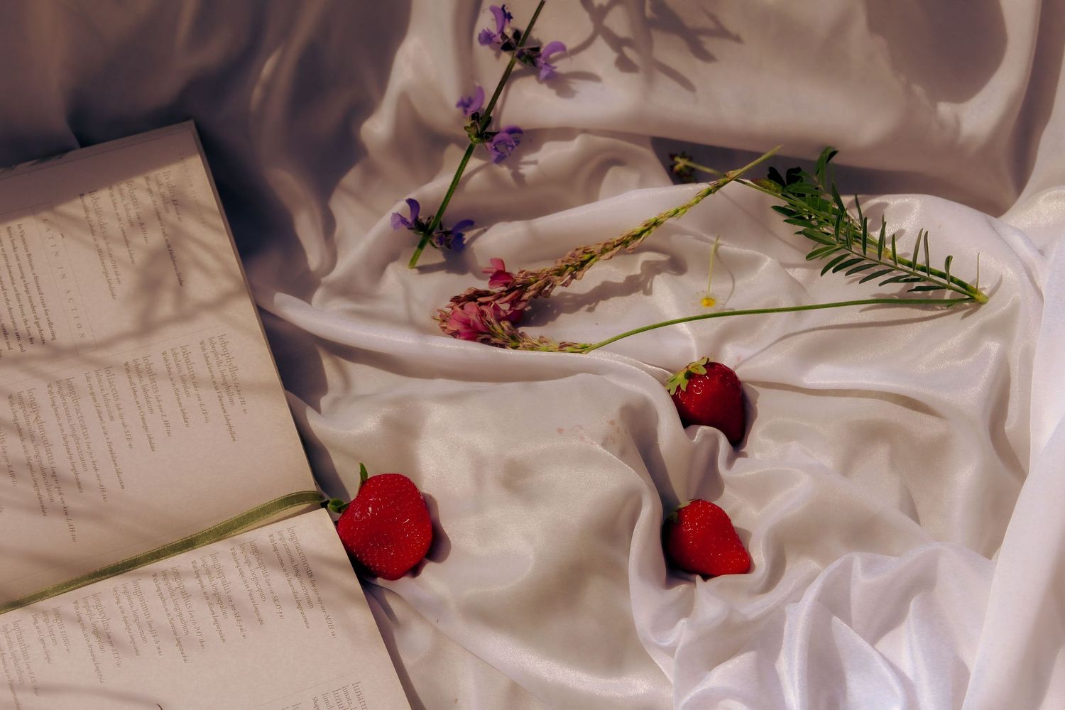 Photo artistique d’un livre entouré de fleurs séchées dans une mise en scène délicate. Image poétique et lumineuse,