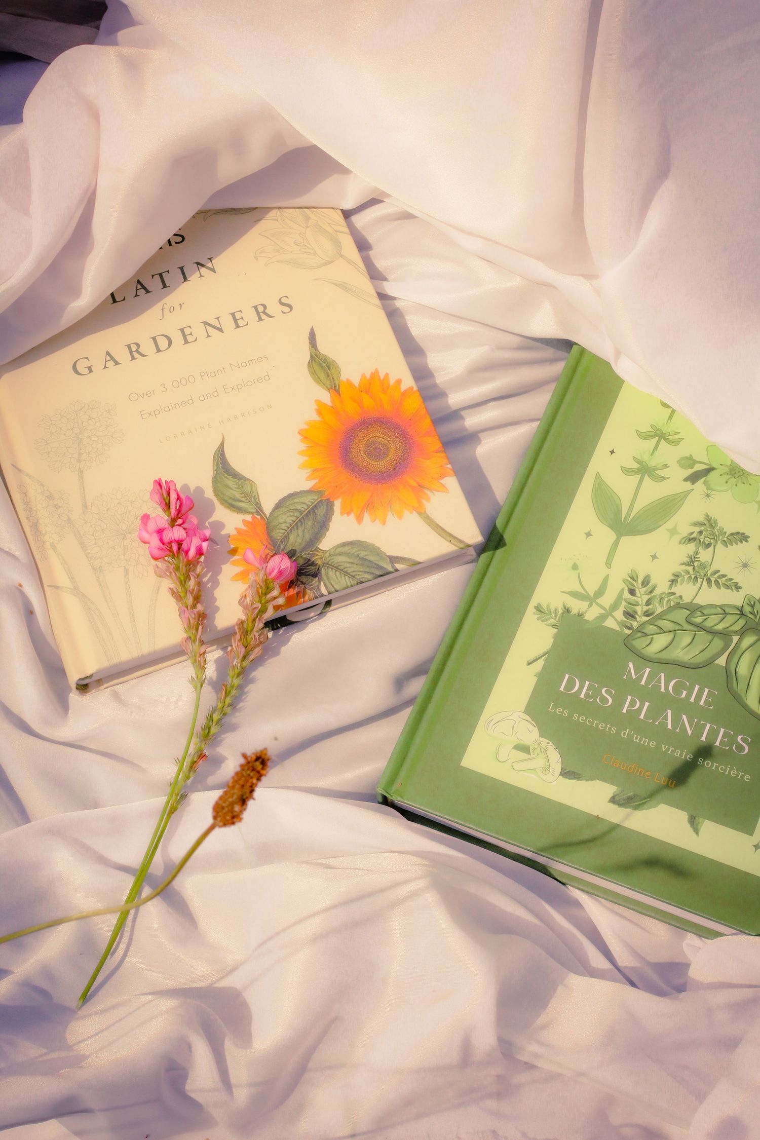 Photo artistique d’un livre entouré de fleurs séchées dans une mise en scène délicate. Image poétique et lumineuse,