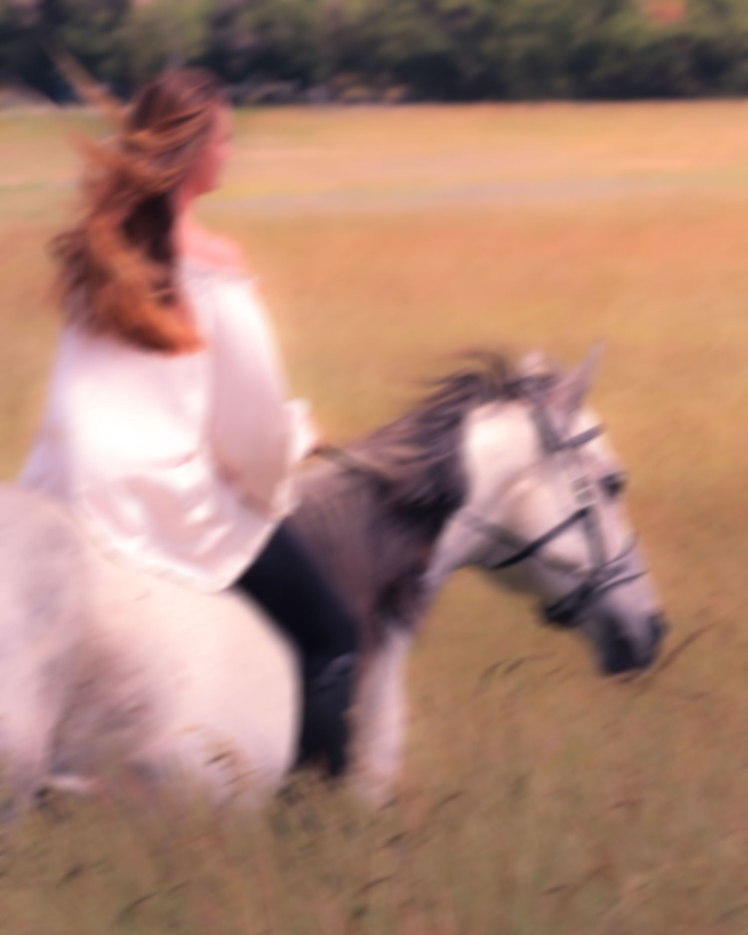 photo d'une femme et son cheval