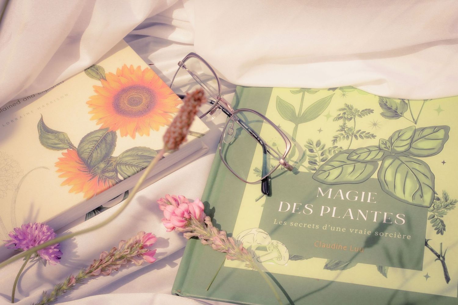 Photo artistique d’un livre entouré de fleurs séchées dans une mise en scène délicate. Image poétique et lumineuse,