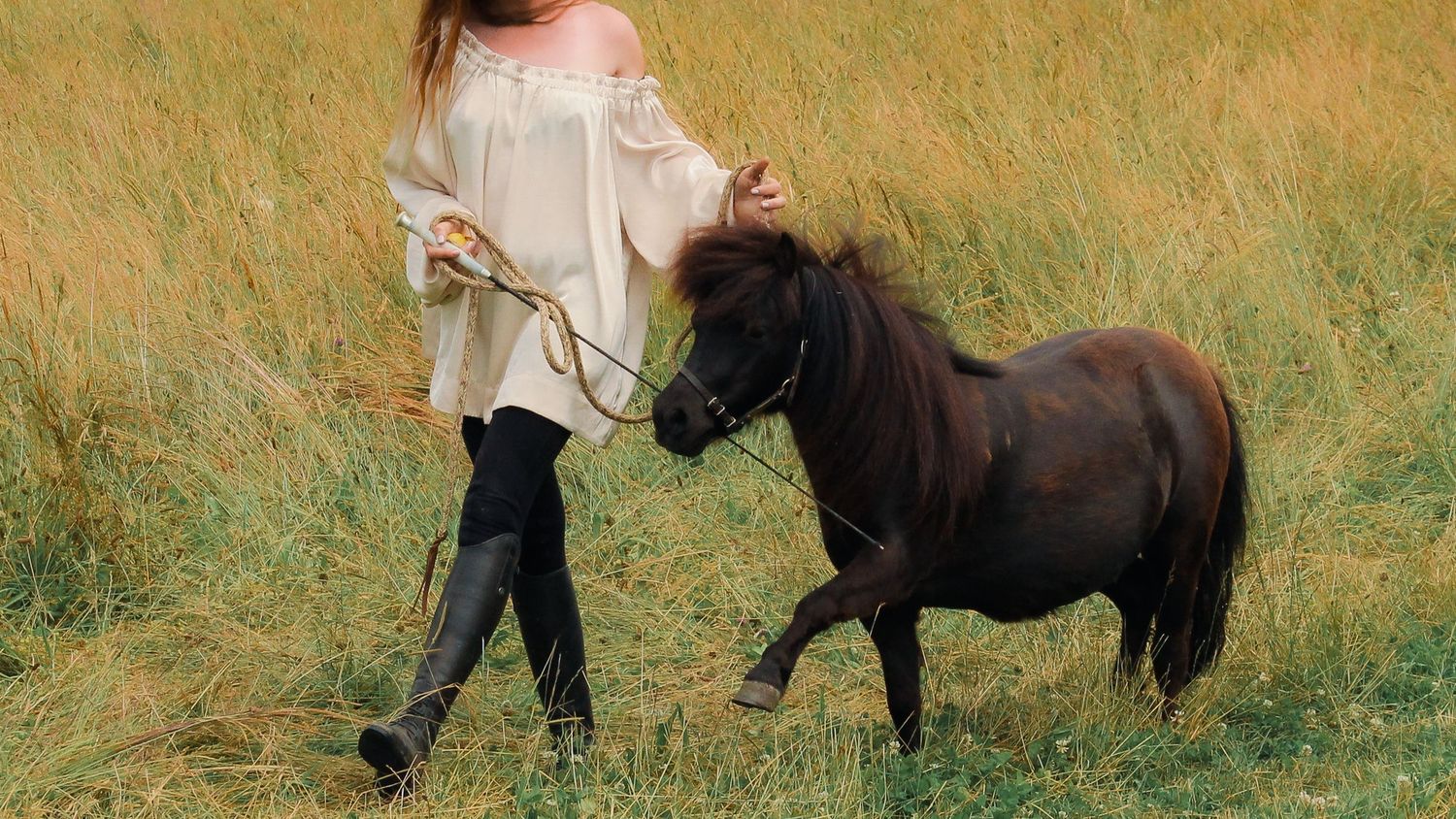 photo d'une femme et son cheval, poney nice