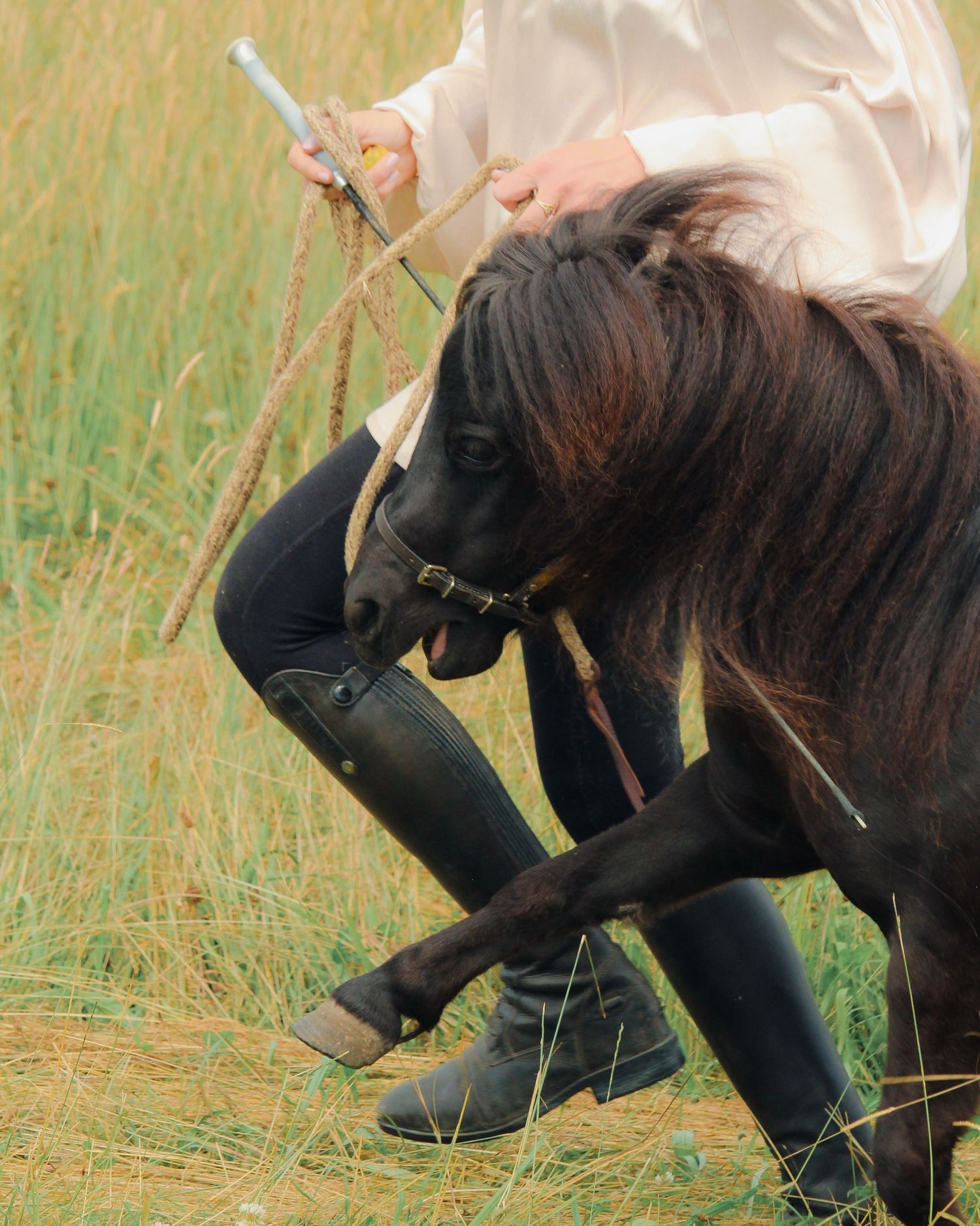 photo d'une femme et son poney