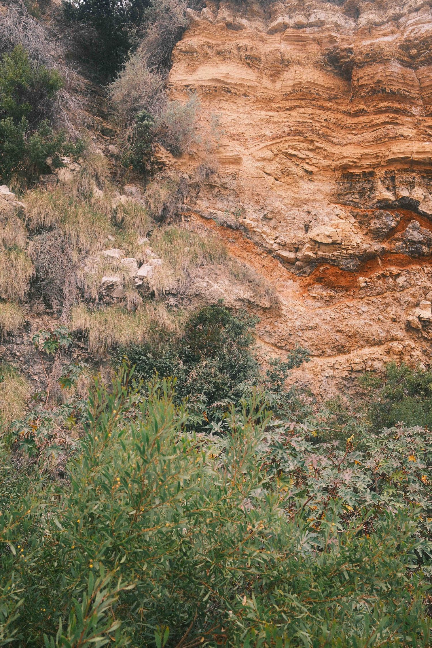 Rocky sandstone cliff face with green vegetation growing at the base against an orange-hued stone wall.