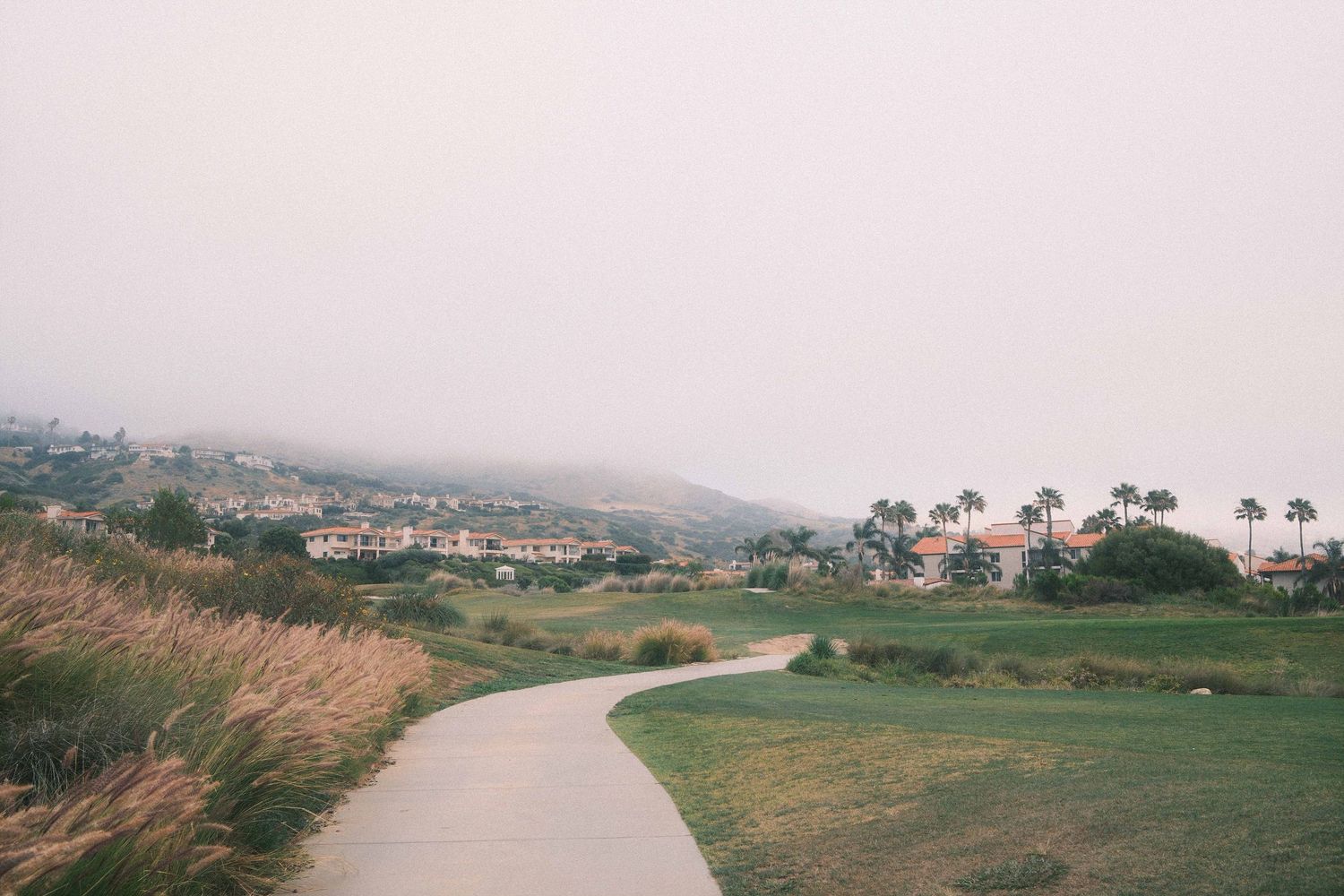 A curved coastal path winds along green cliffs overlooking the ocean with houses and palm trees in the distance.