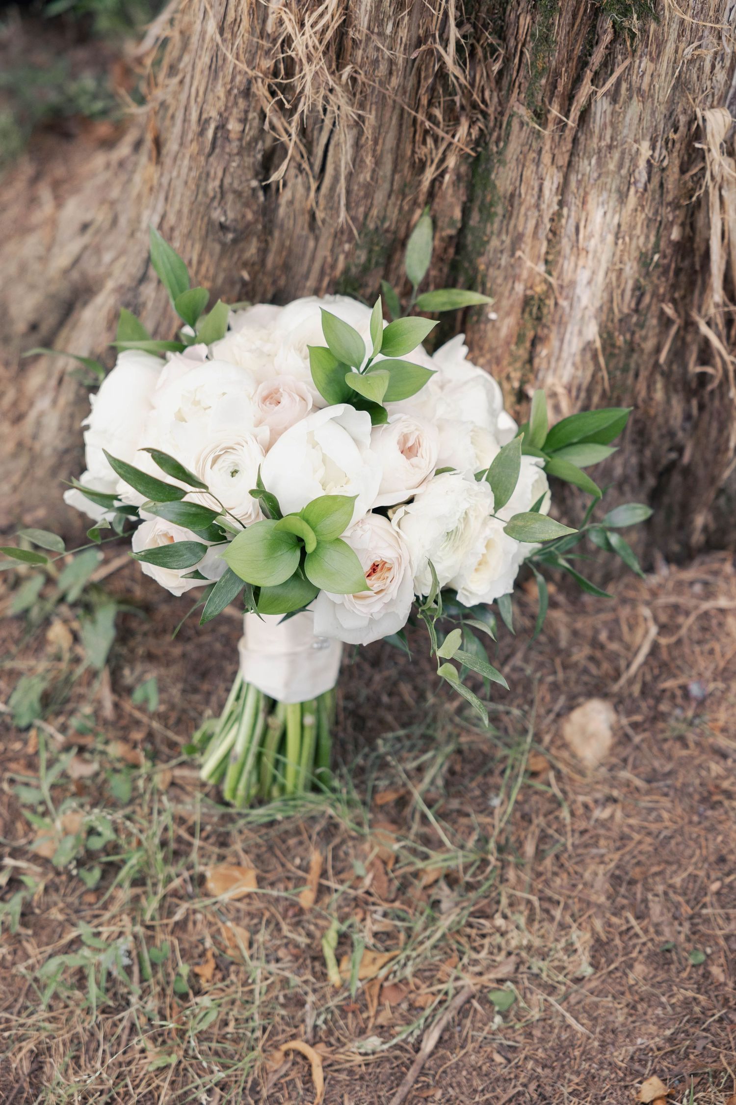 Beautiful white and blush bridal bouquet with roses and greenery resting against tree bark in natural light.