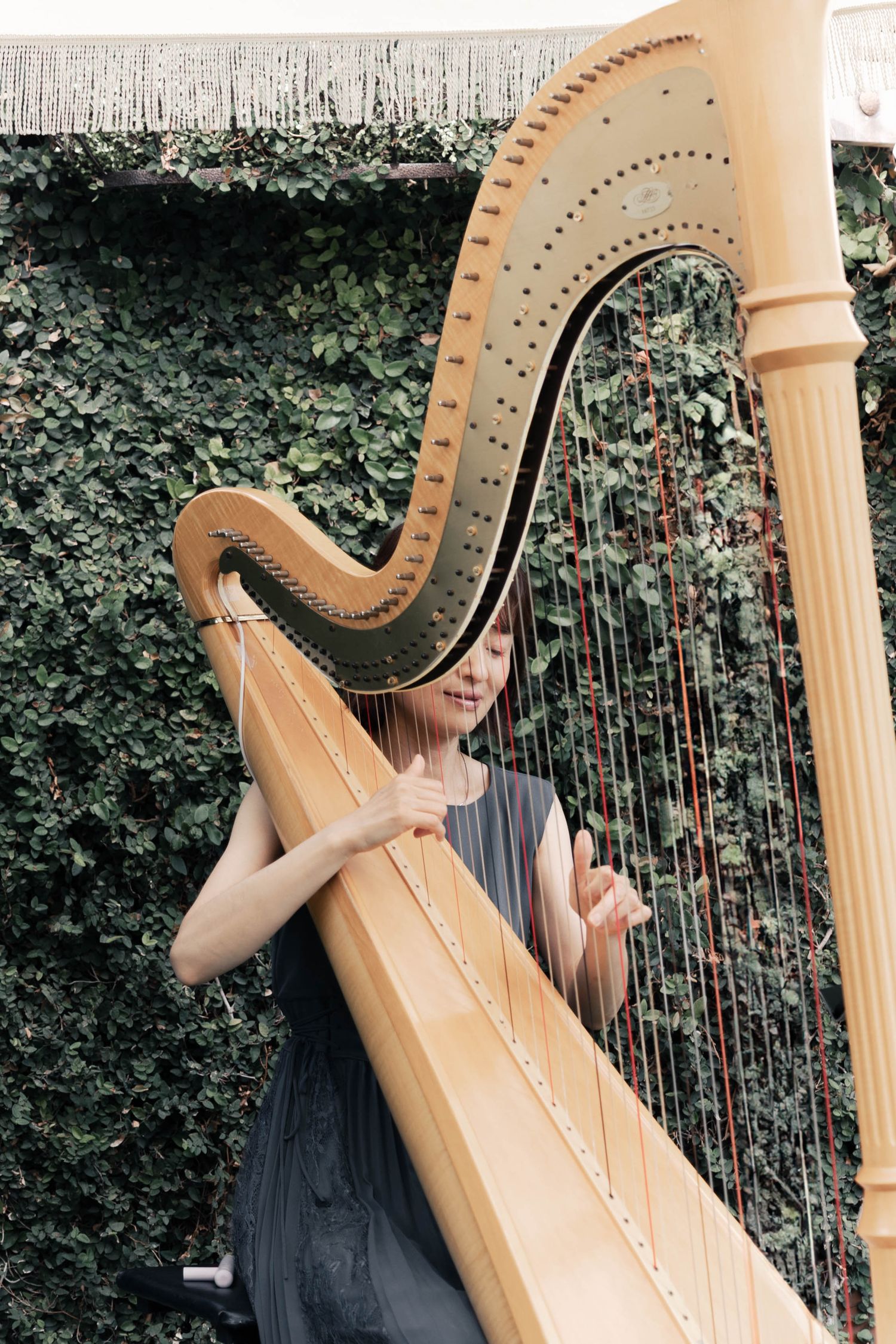 A sequence of images showing a wooden pedal harp being played against a leafy garden backdrop.
