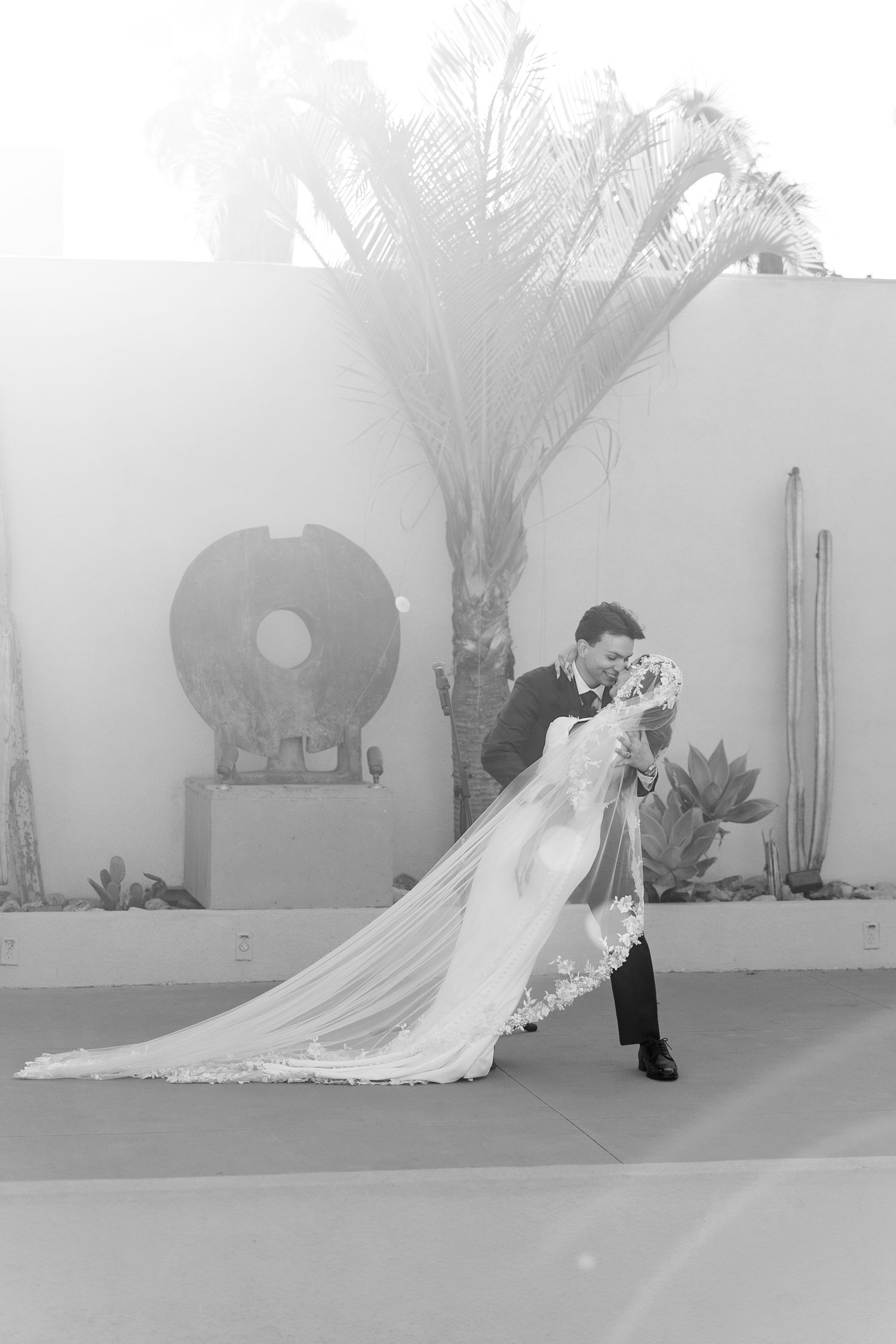 Black and white photo of groom dipping bride in wedding dress with long veil, desert garden backdrop with palm trees.
