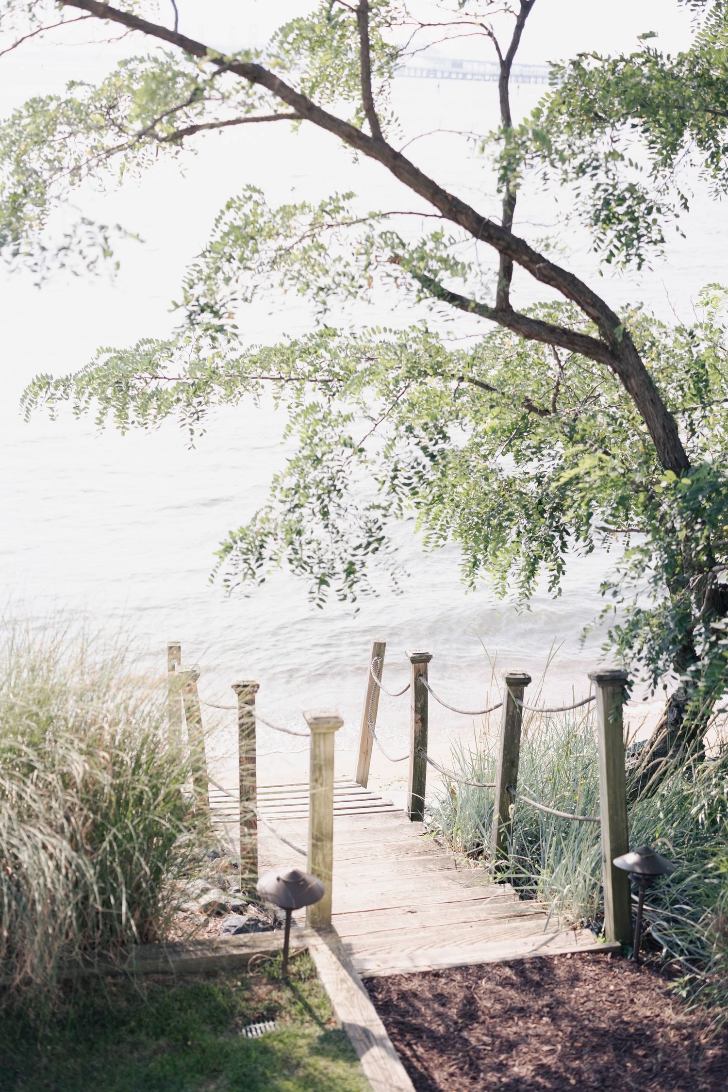 A wooden boardwalk winds through coastal grasses with evenly spaced posts lining the pathway to the beach.
