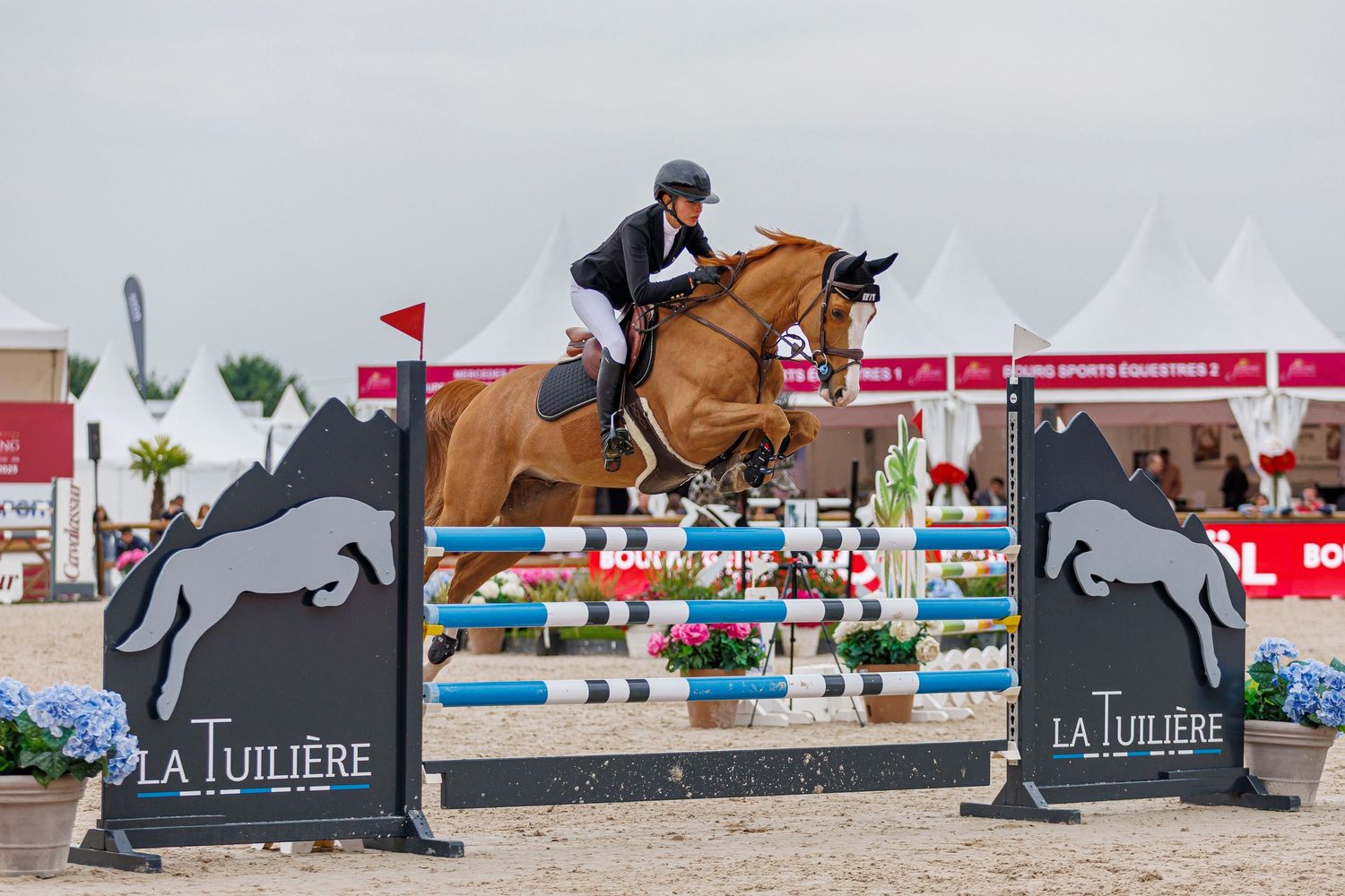 Jennifer Hochstaedter et Noble Apple