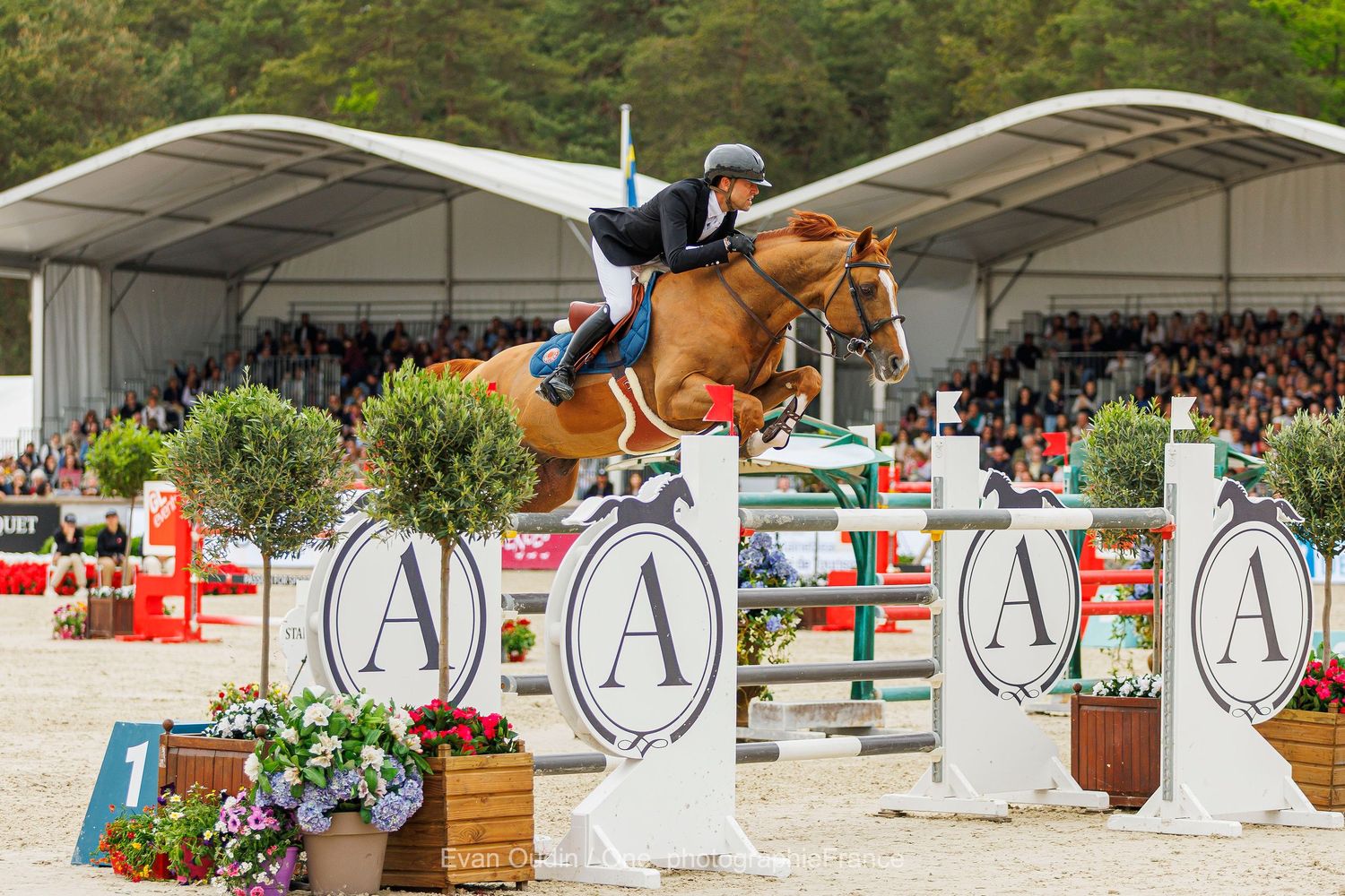 CSI5* Grand Prix GL Events - Printemps des sports equestre
Simon Delestre  riding I Amelusina R51 at the CSI5* Grand Prix GL Events - Print