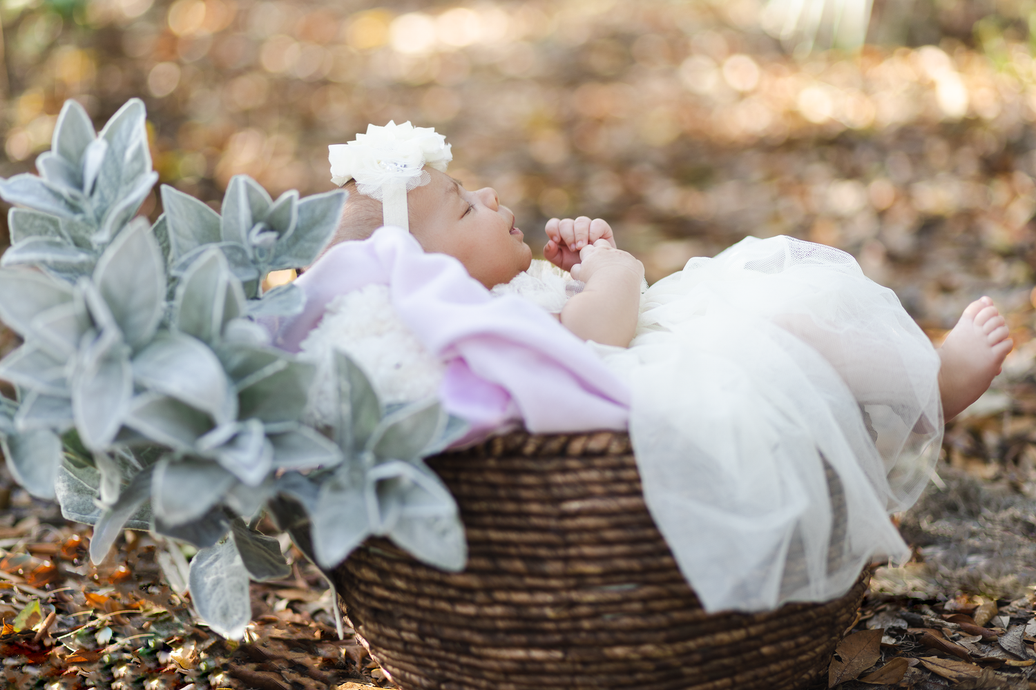 Baby in white dress lying in wicker basket outdoors surrounded by silver foliage and autumn leaves.