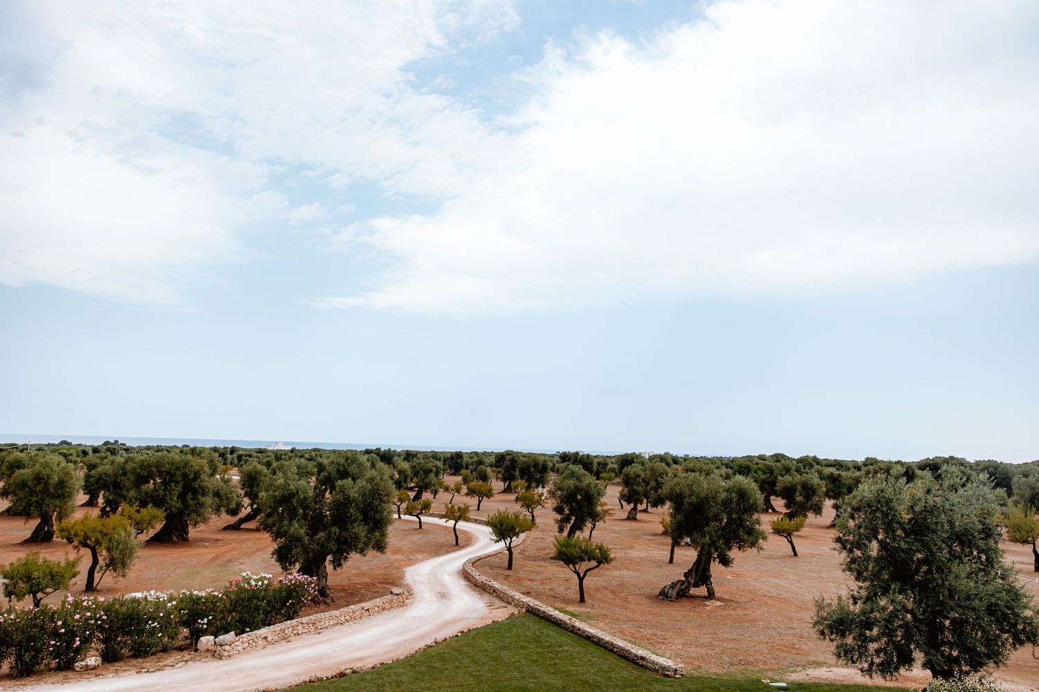 Aerial view of a Mediterranean stone building surrounded by olive groves and countryside.
