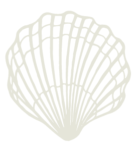 A repeating pattern of light beige seashell silhouettes arranged in a horizontal row against a white background.