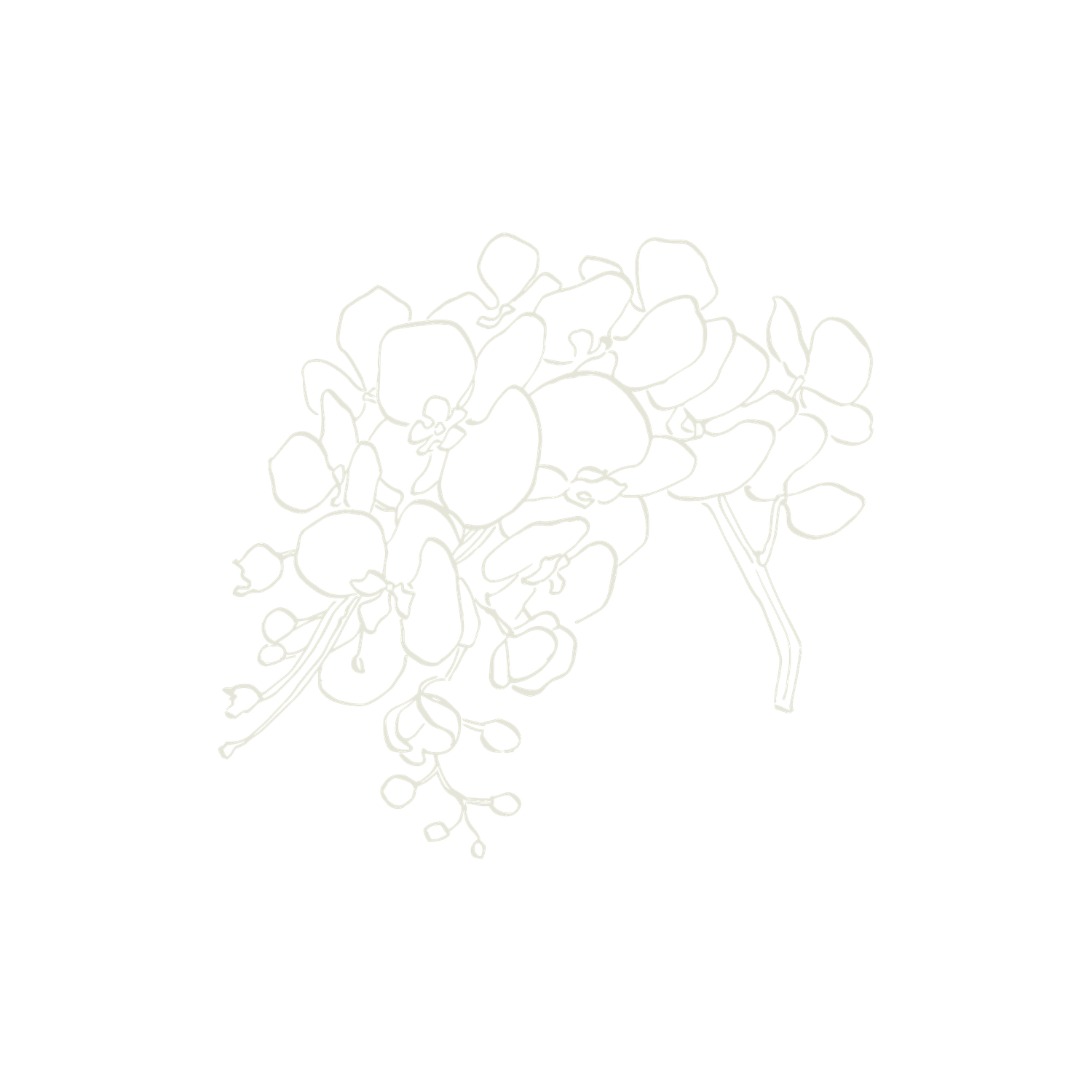 Simple black line art sketch showing abstract shapes and curves on a white background.