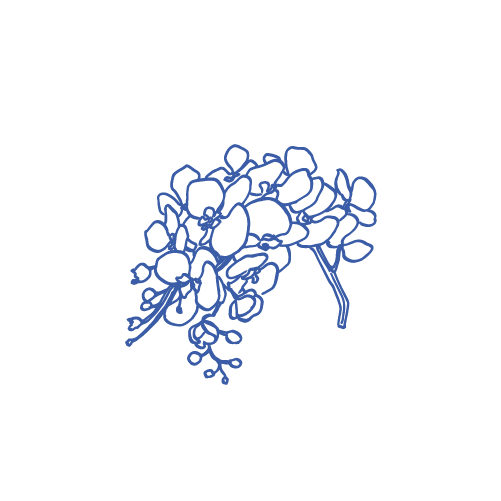 Delicate blue floral line art design with curving stems and small blooms creates an elegant decorative pattern.