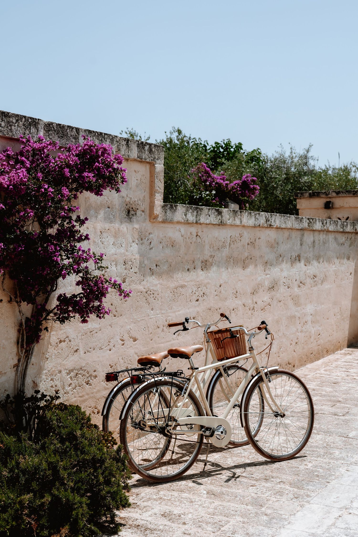 Vintage bicycles parked against stone wall with vibrant purple bougainvillea flowers.