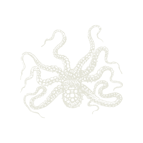 Delicate white octopus illustration with intricate tentacles on a white background, perfect for marine art decor.