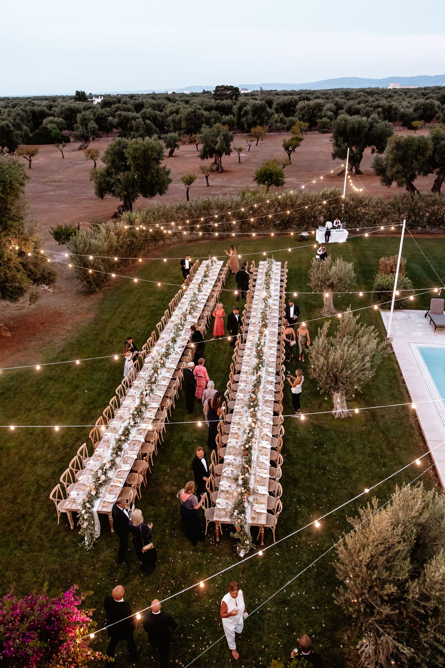 Aerial view of a long banquet table setup in an olive grove with string lights for a wedding reception.