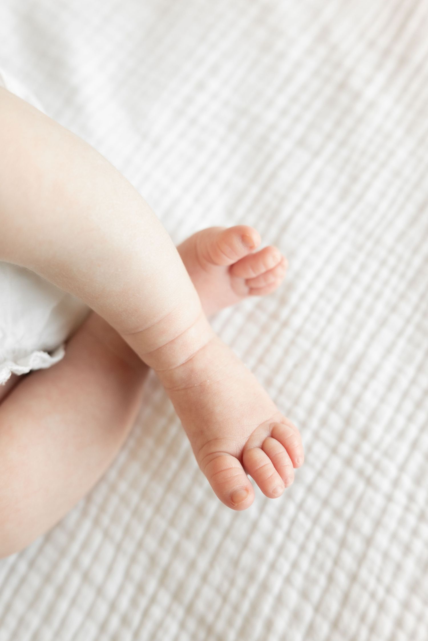 Close-up of tiny newborn baby feet and legs resting on a soft white textured blanket.