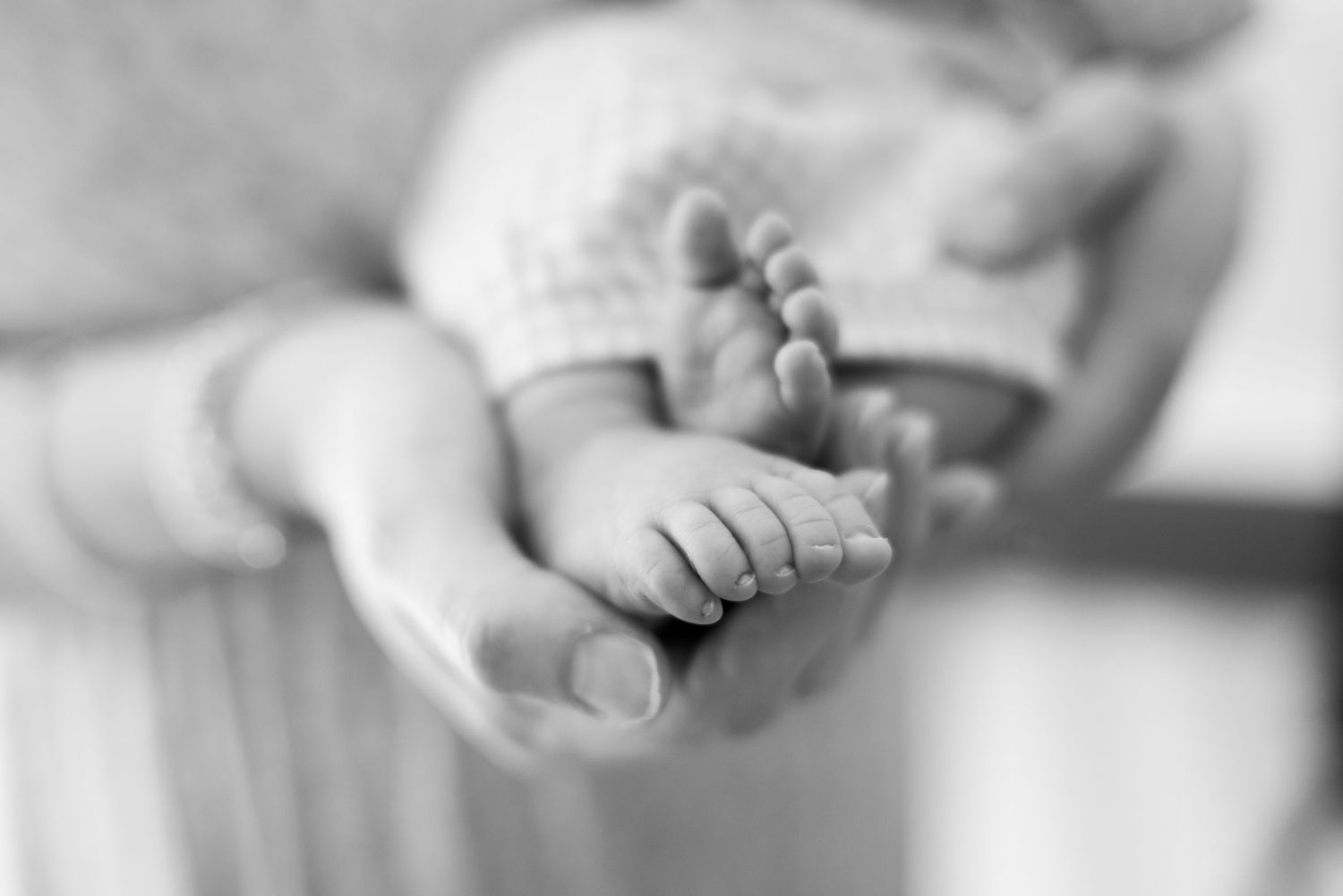 Black and white photo of a parent cradling tiny newborn baby feet in their hands.