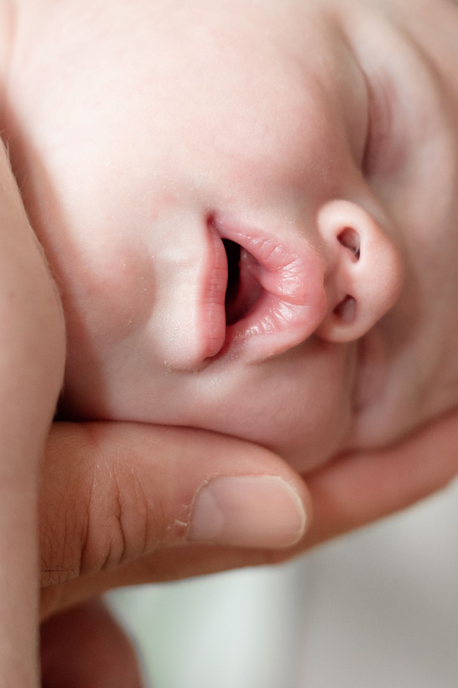 Close-up of a newborn baby's face with mouth slightly open, cradled gently in an adult's hand.