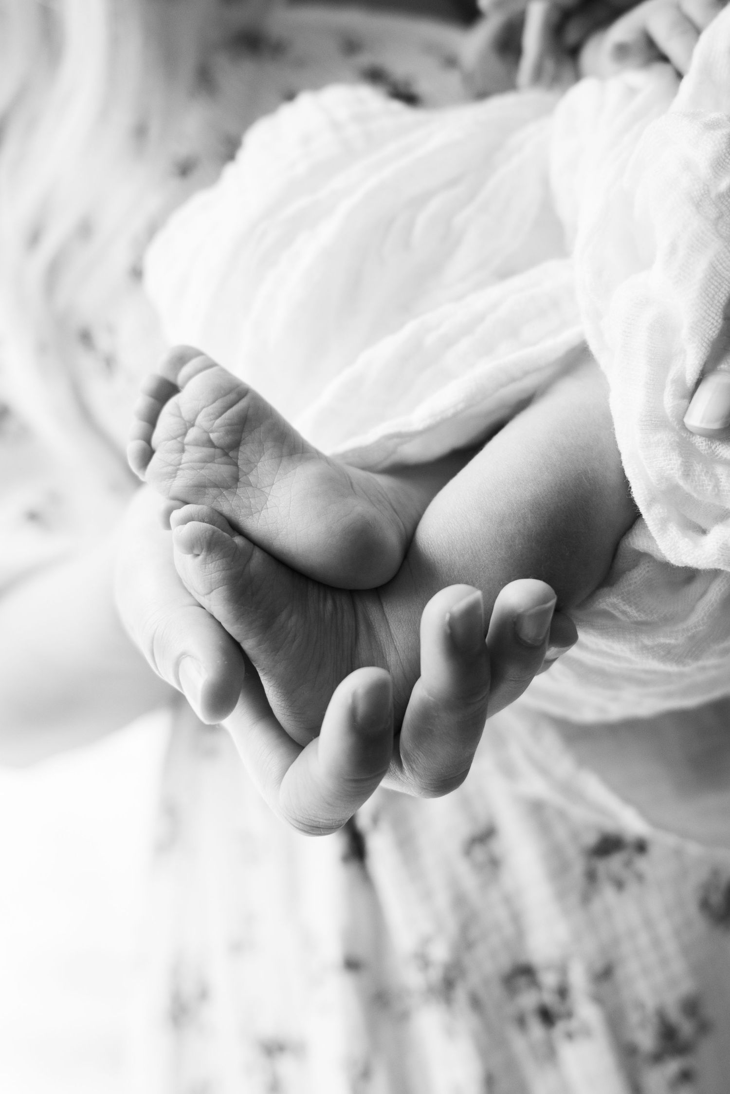 Black and white photo of an adult hand gently cradling tiny newborn baby feet in soft white fabric.