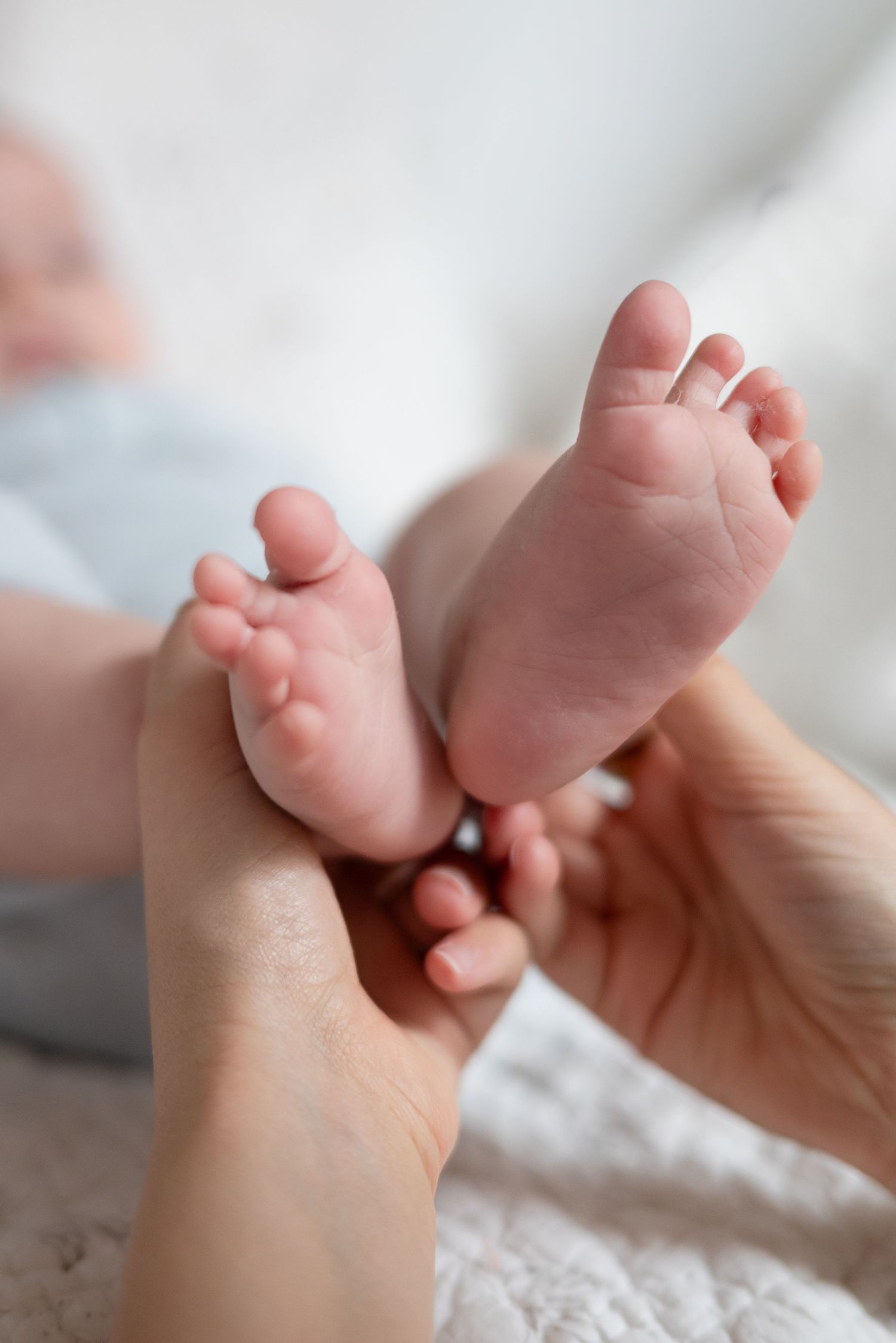 Close-up of baby feet being held in adult hands during a lifestyle newborn photography session in Charlotte, NC.