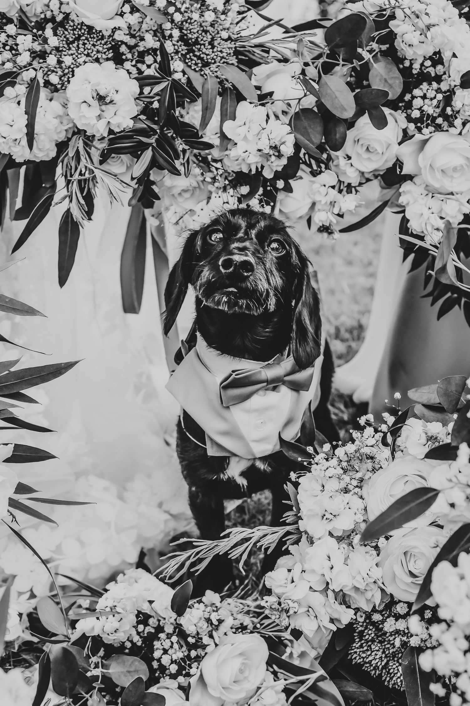 Close-up of lush white floral wedding arrangements with greenery and roses.