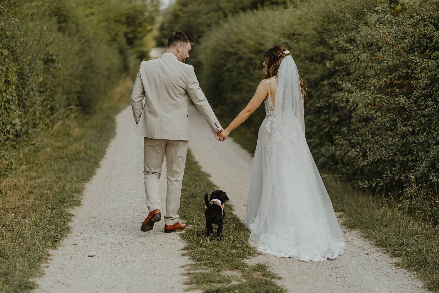 Bride and groom stroll down a rustic path with their dog on their wedding day.