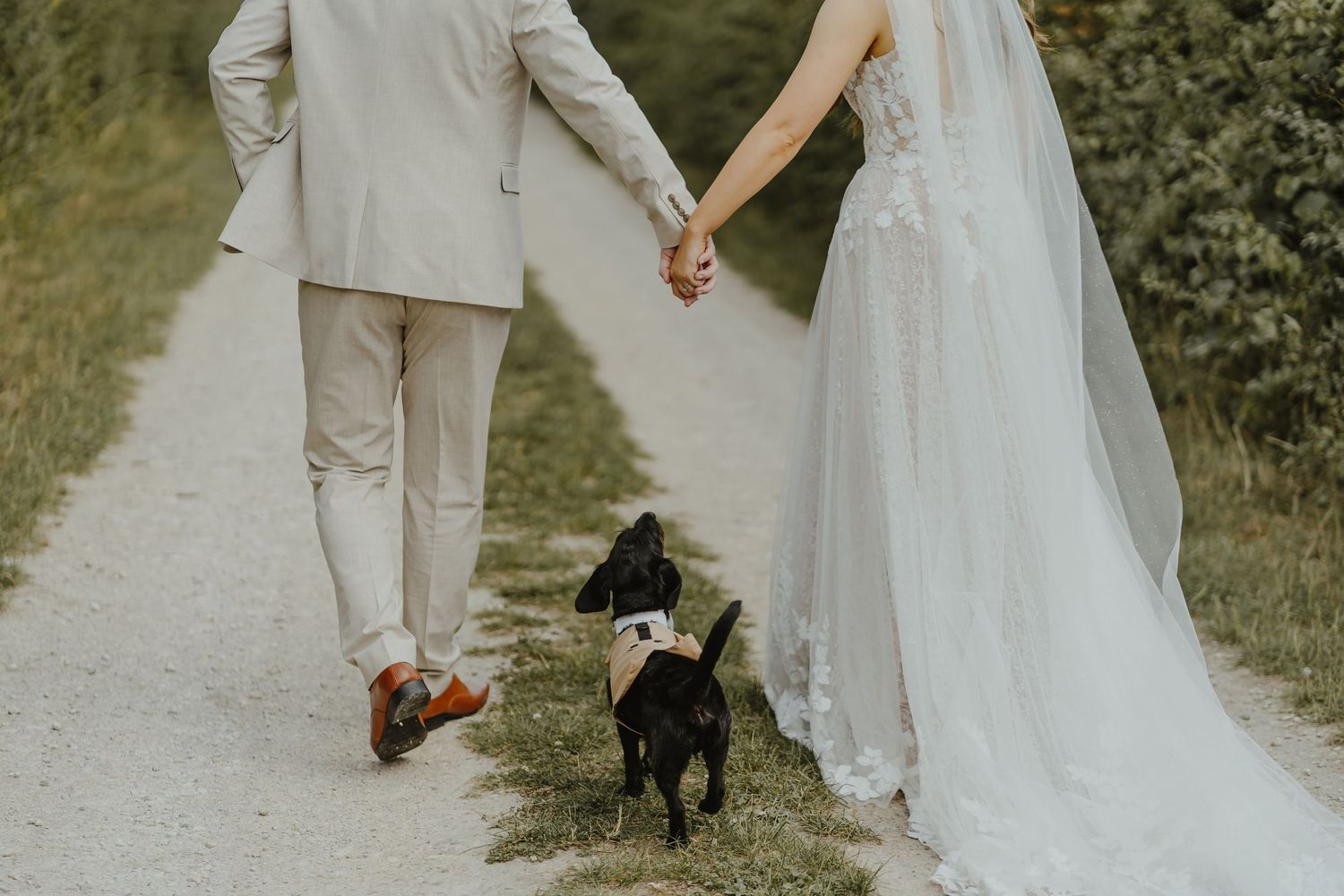 Wedding couple walks hand in hand with their black dog on a gravel pathway.