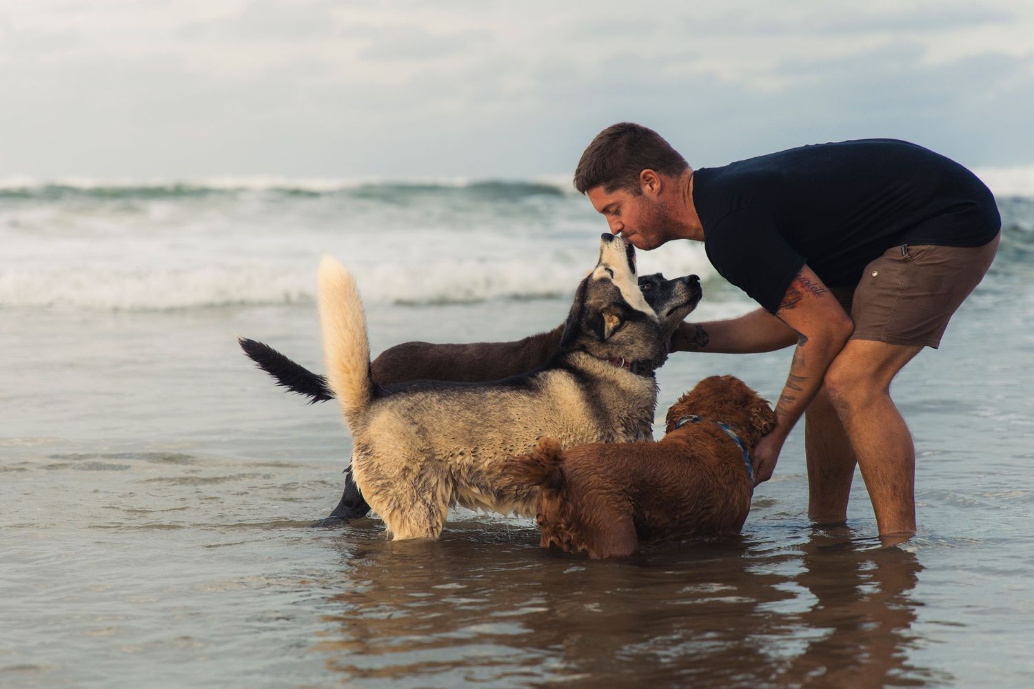 A man with his three dogs at the beach