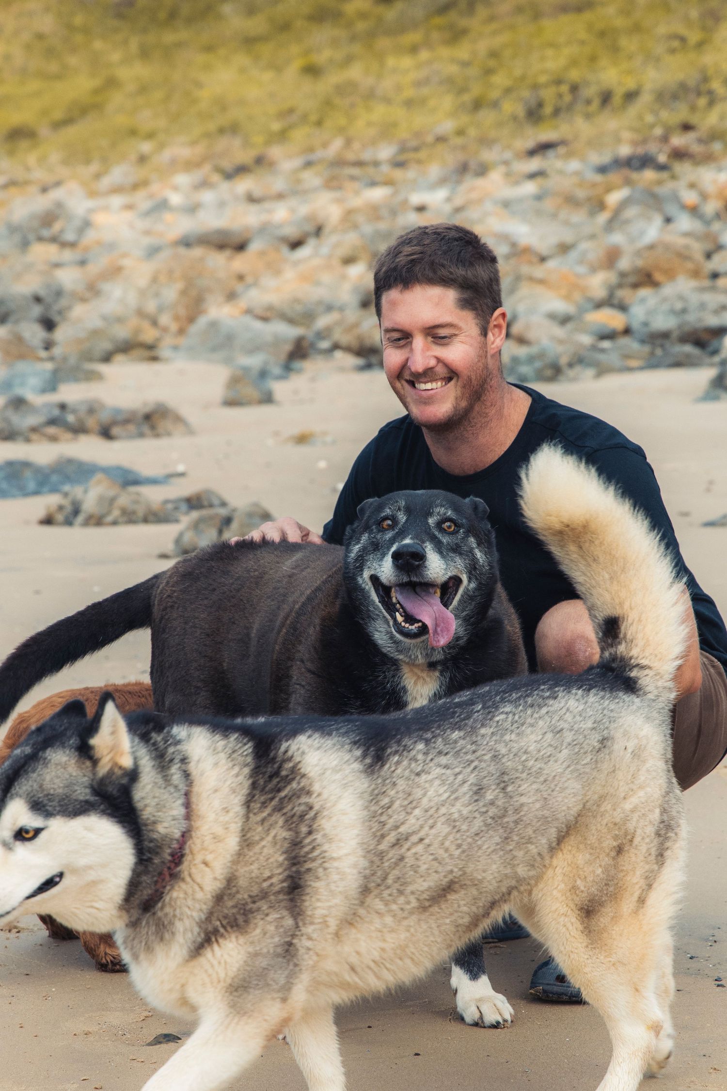 A man and his dogs at the beach