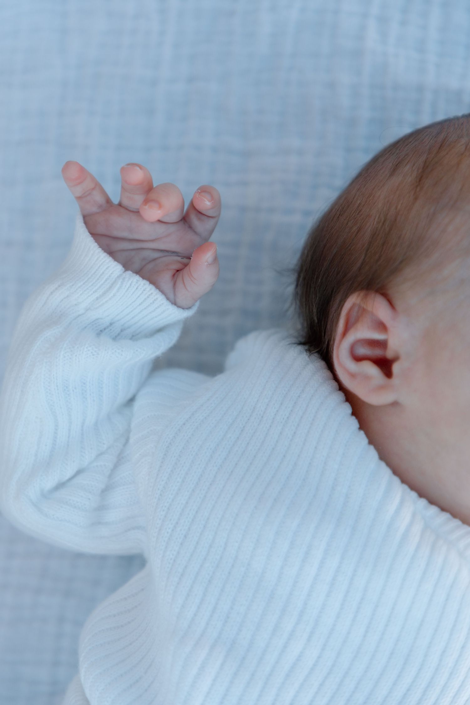 Hawkes Bay newborn photographer