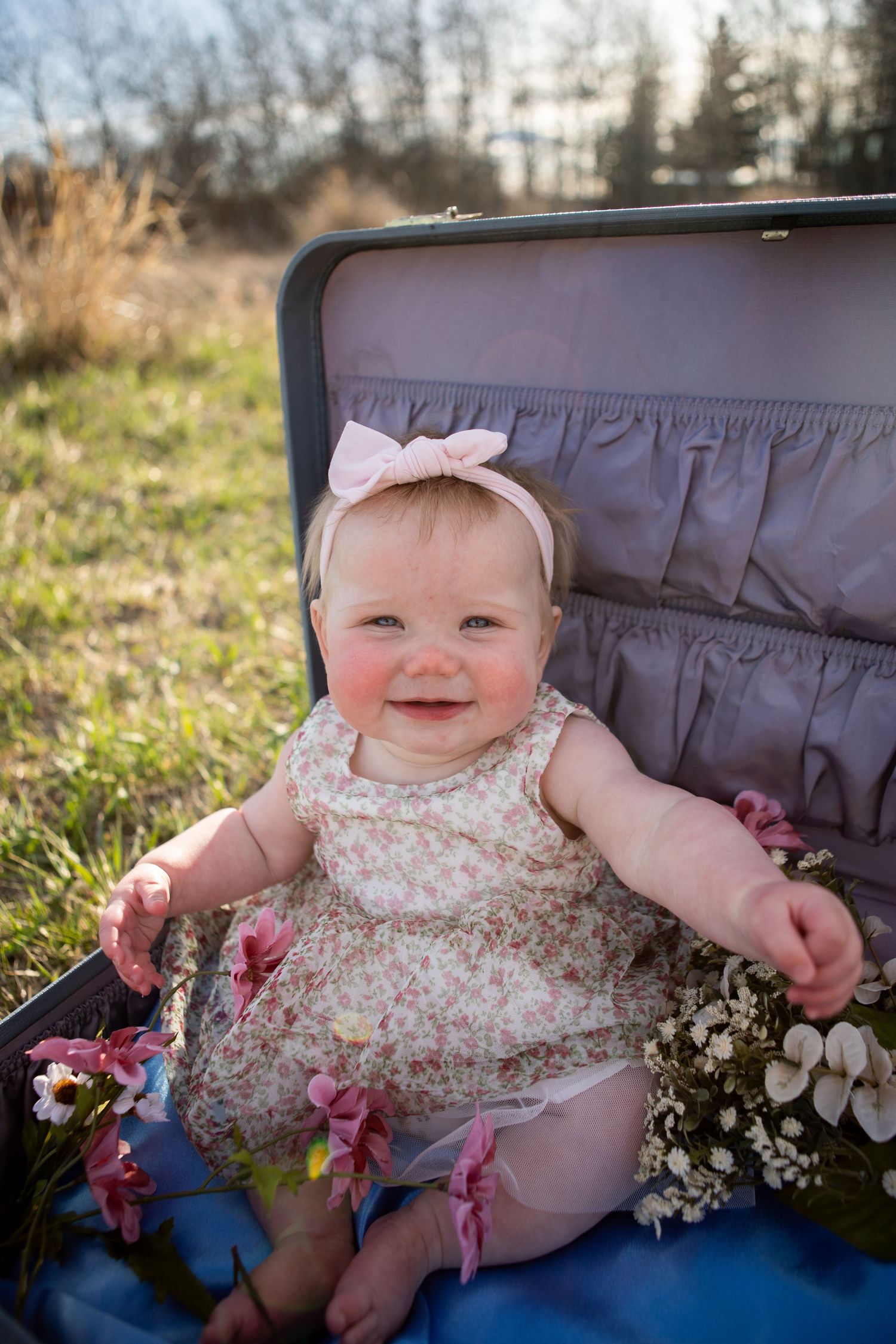 A baby sits in a suitcase filled with flowers in Bozeman, Montana.