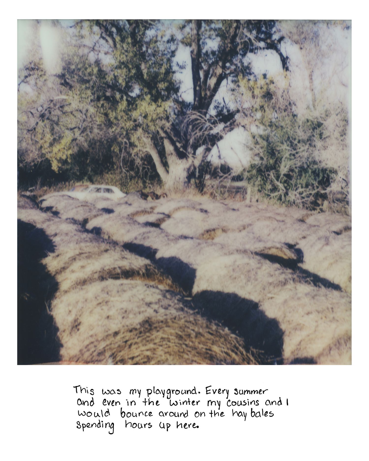 Sierrah Elizabeth Photography's senior exhibition project, a scanned polaroid image of a hay bales.