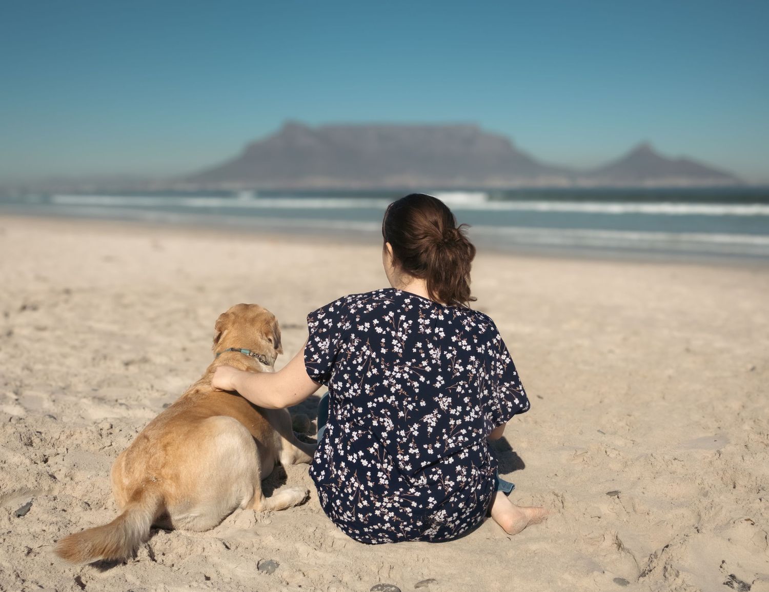 Pet photography
dog
cat
 puppies 
action 
 playing
sleeping
 running
candid 
portrait
lifestyle
Park 
forest 
sea 
ocean