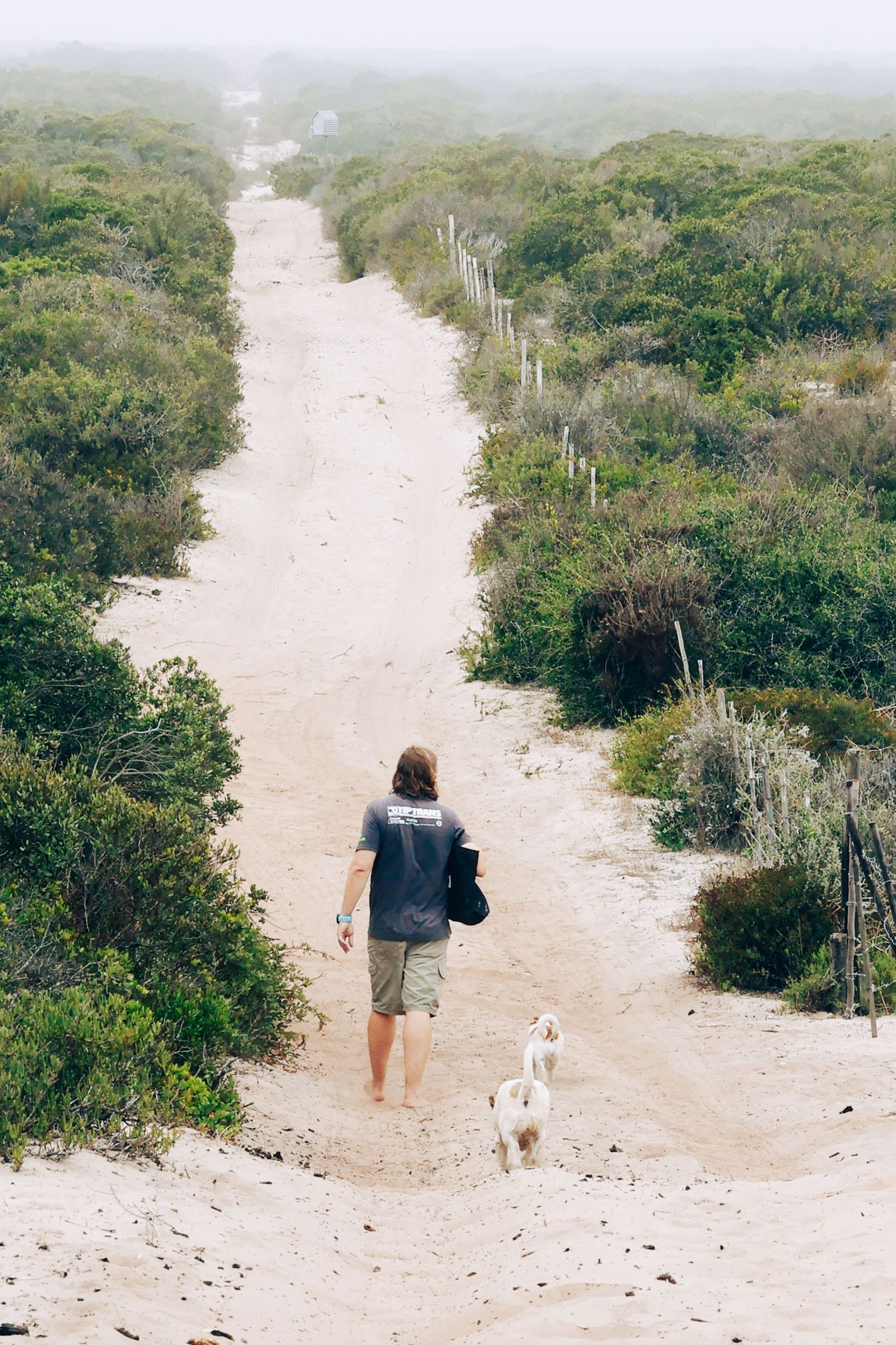 Pet photography
dog
cat
 puppies 
action 
 playing
sleeping
 running
candid 
portrait
lifestyle
Park 
forest 
sea 
ocean