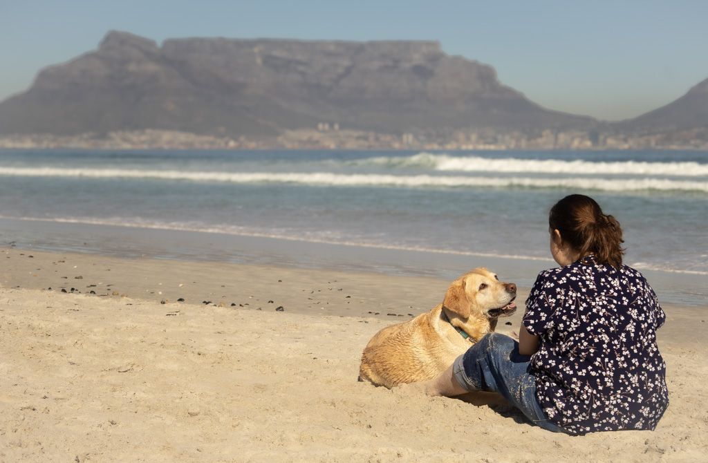 Pet photography
dog
cat
 puppies 
action 
 playing
sleeping
 running
candid 
portrait
lifestyle
Park 
forest 
sea 
ocean