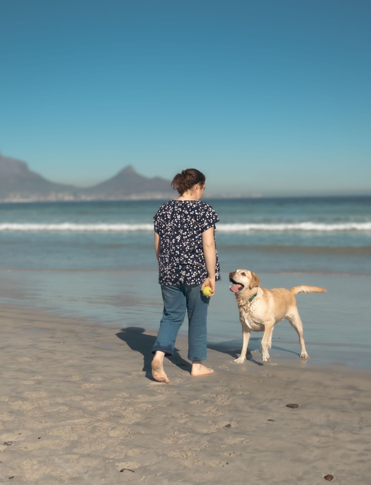 Pet photography
dog
cat
 puppies 
action 
 playing
sleeping
 running
candid 
portrait
lifestyle
Park 
forest 
sea 
ocean