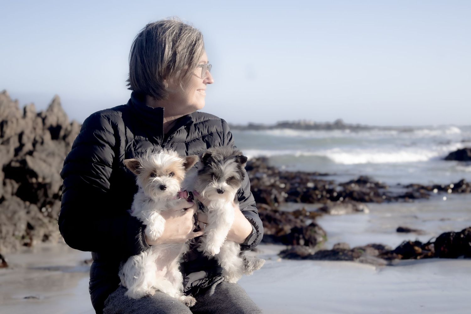 Pet photography
dog
cat
 puppies 
action 
 playing
sleeping
 running
candid 
portrait
lifestyle
Park 
forest 
sea 
ocean
indoor and outdoor