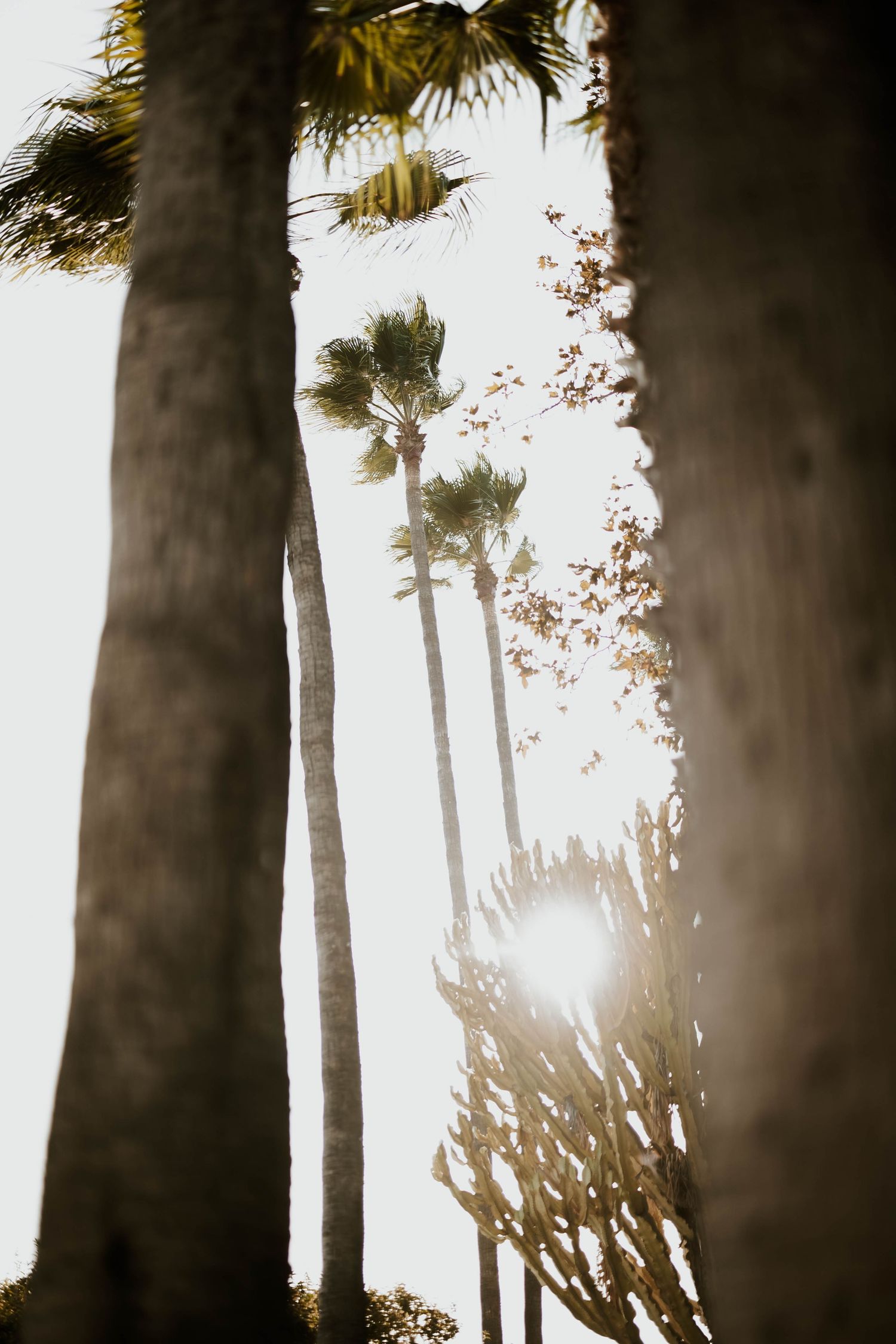 socal wedding photography, first look photography, details photography, flat lay photography