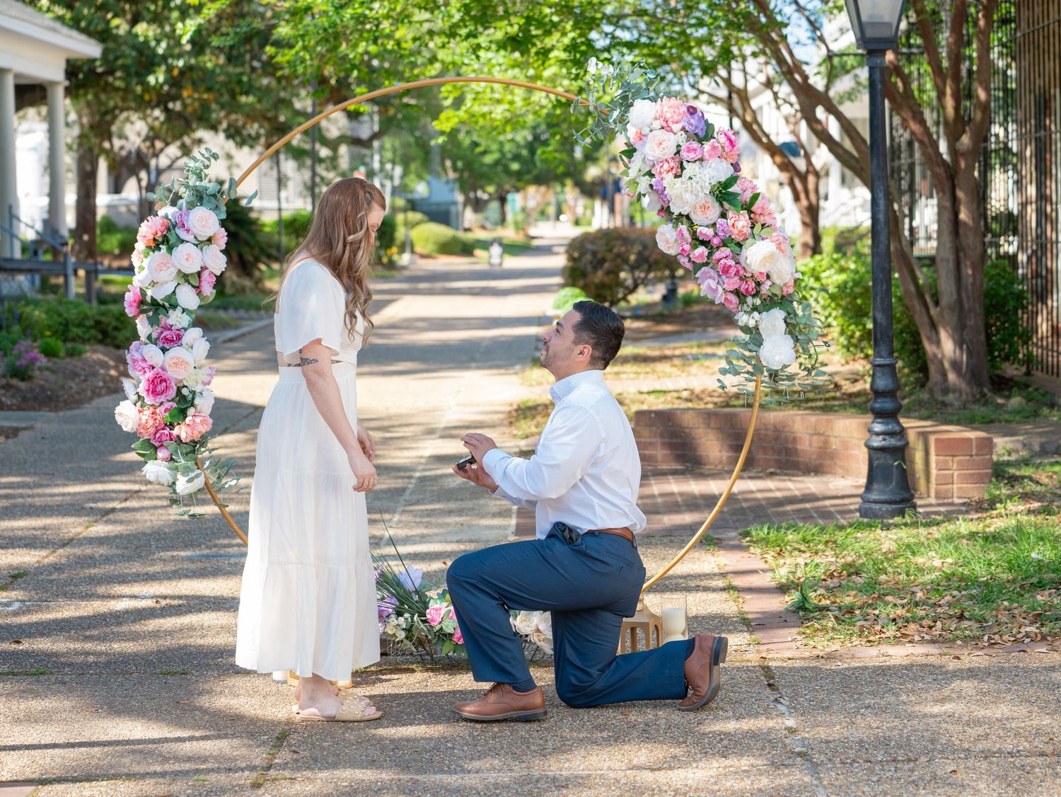Outdoor proposal scene in a tree-lined path with pink cherry blossoms.