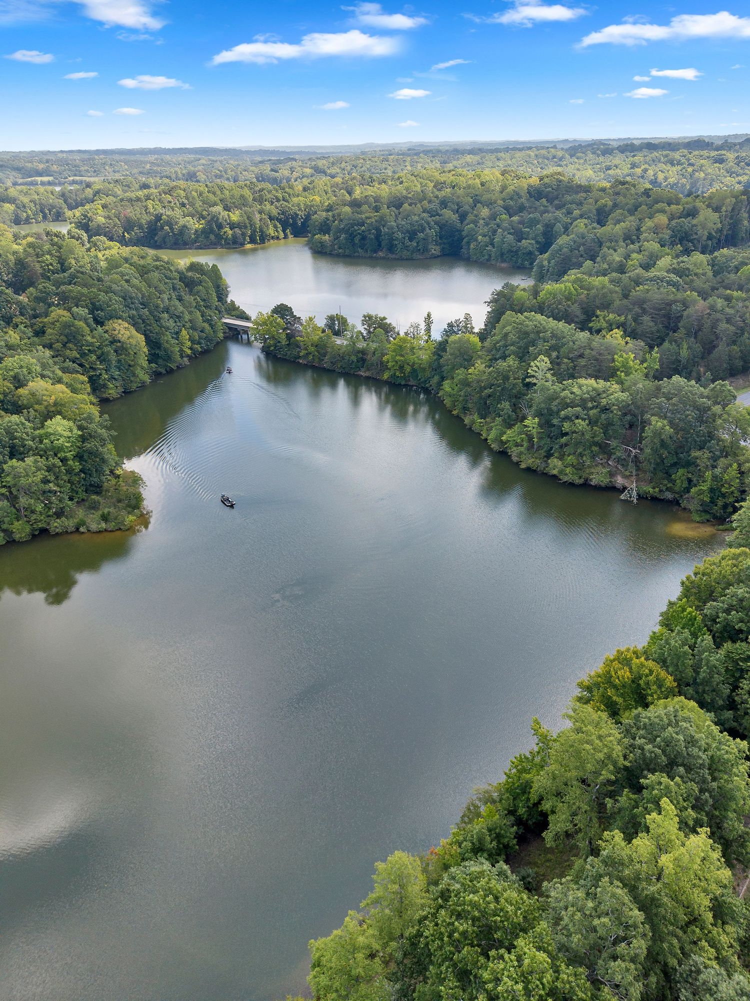 Aerial view of a winding river surrounded by lush green forests under a blue sky with scattered clouds.