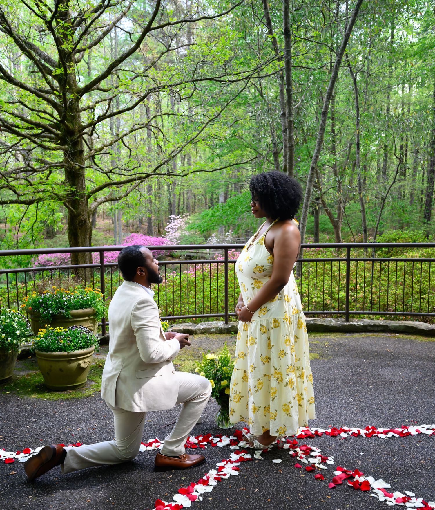 Man proposes to woman on one knee surrounded by rose petals on a scenic outdoor terrace with lush green trees.