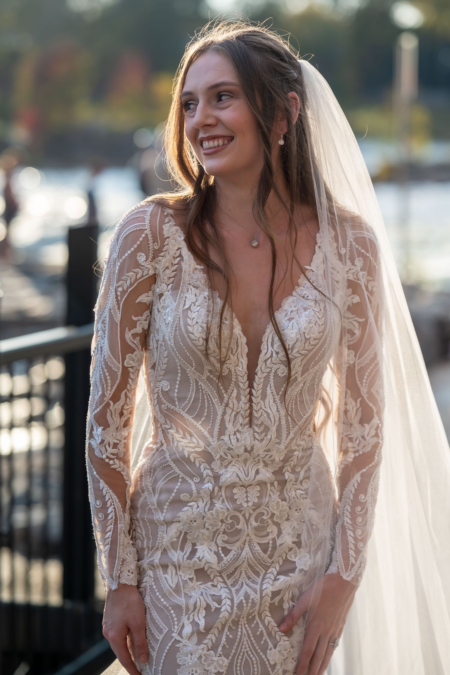 An elegant bridal portrait series showcasing a detailed lace gown and cathedral veil in natural light.