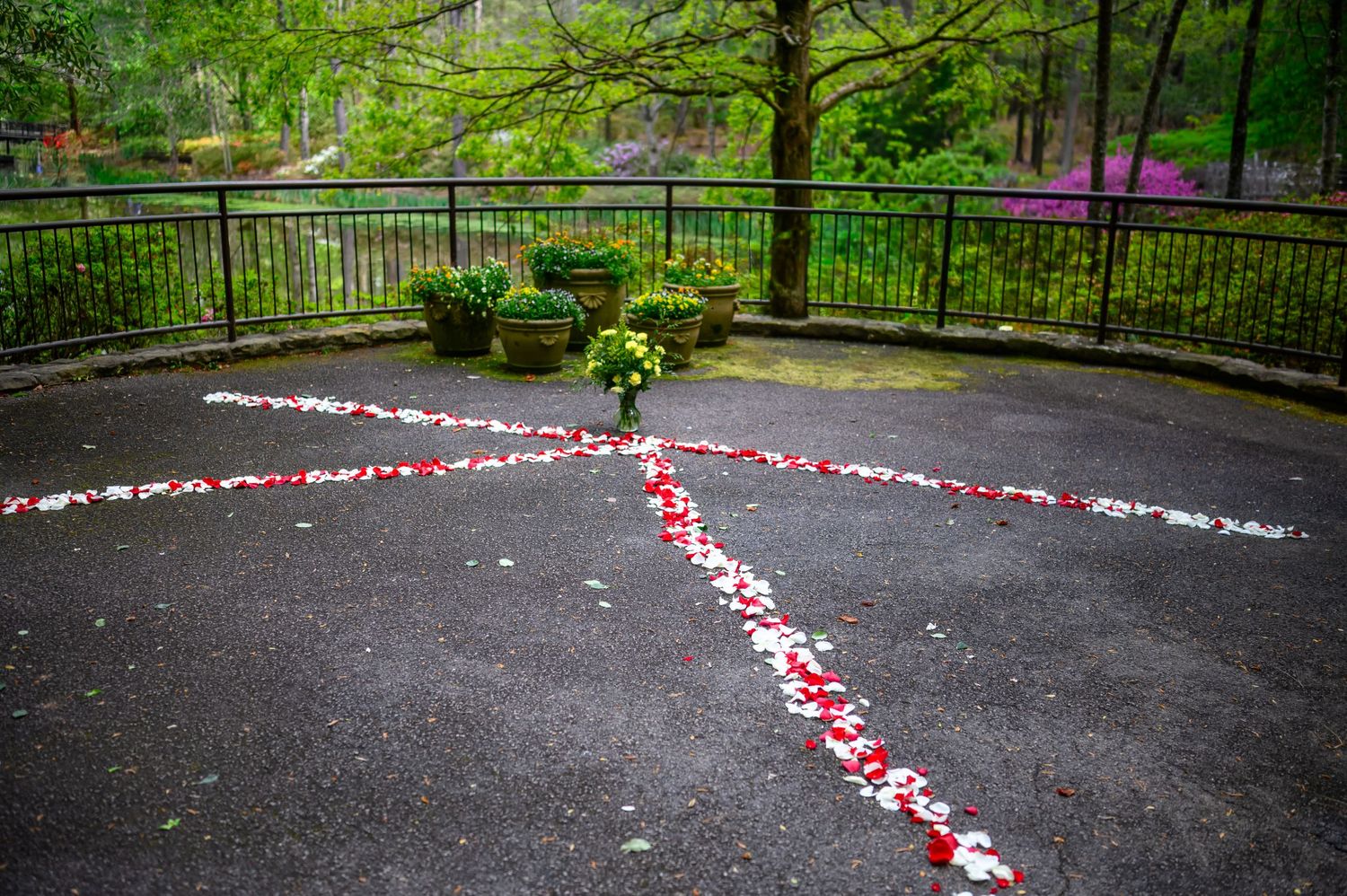 Rose petals arranged in an elegant cross pattern on a garden patio surrounded by lush green trees and colorful flowers.