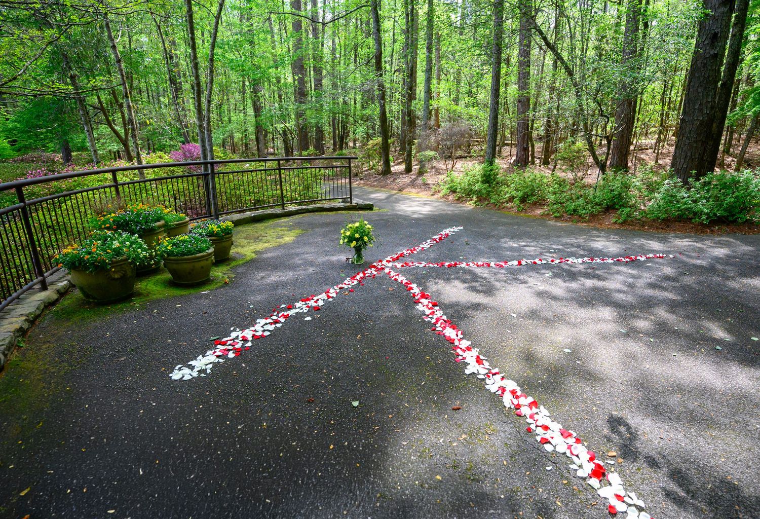 Aerial view of red and white rose petals arranged in a cross pattern on a dark paved outdoor garden terrace.