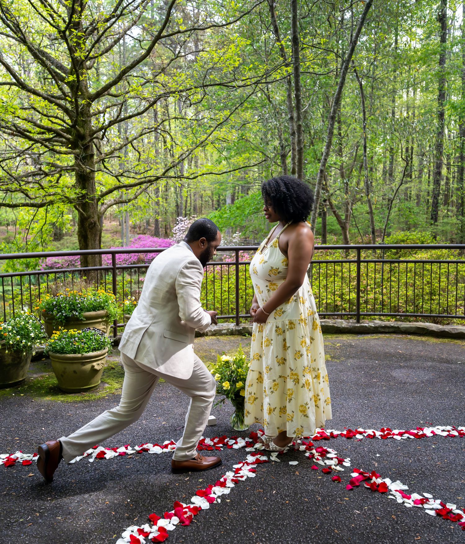 Man in beige suit kneeling to propose to woman in yellow floral dress surrounded by rose petals in garden.