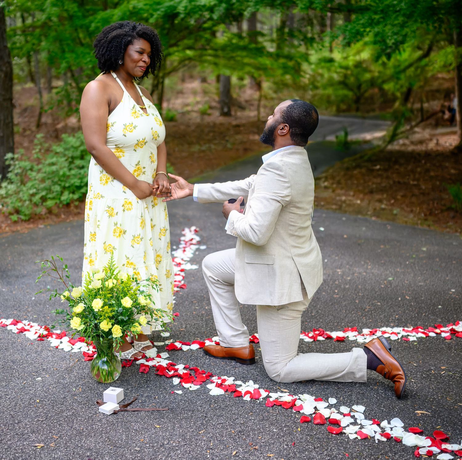 Man proposes to woman on one knee surrounded by rose petals on a tree-lined path.