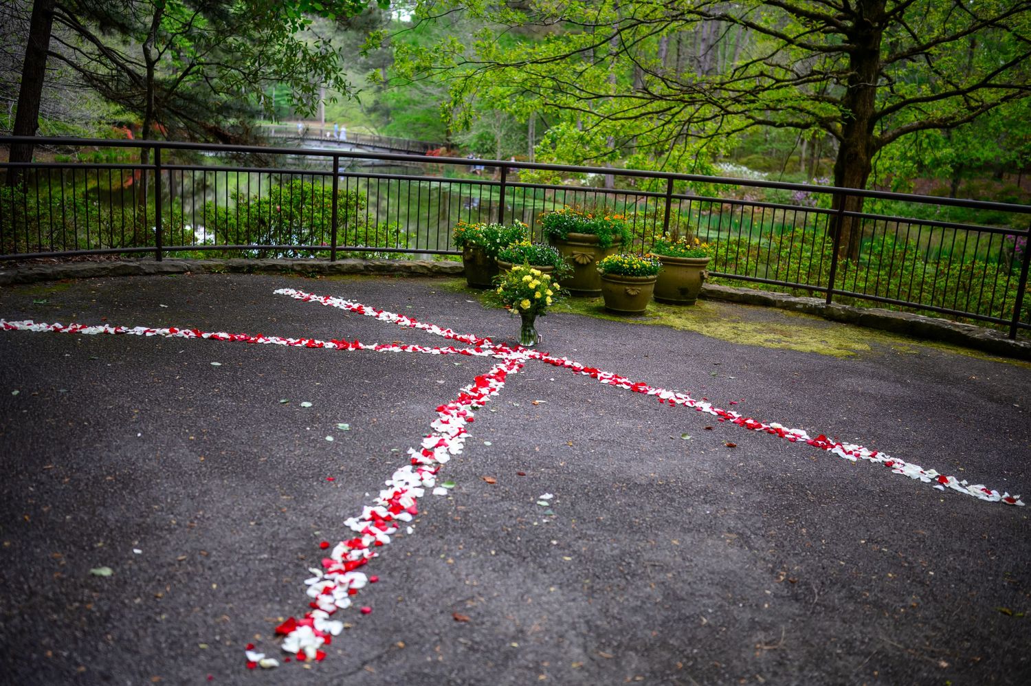 Red and white rose petals arranged in a heart shape on a garden patio surrounded by lush greenery.